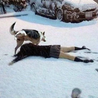 Комменты поноса