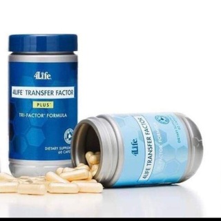 ЗДОРОВЬЕ С ТРАНСФЕР ФАКТОРОМ