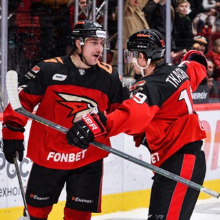 ХК Авангард Омск