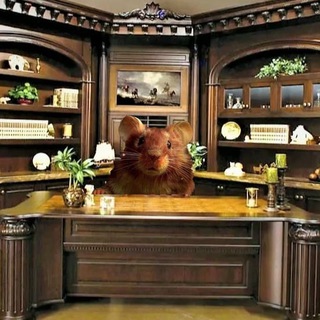 Мышь в кабинете