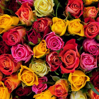 Салон цветов Красноярск 💐