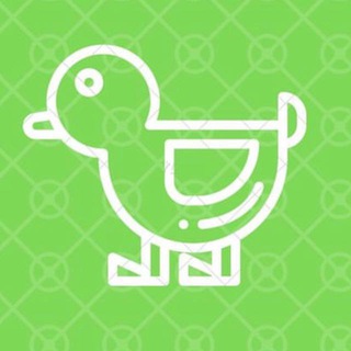 Утки в порядке