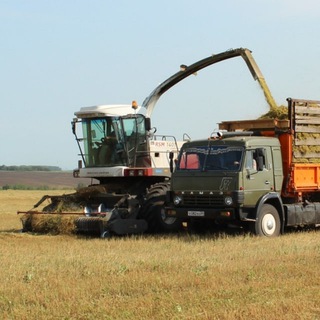 Сельхозрынок Оренбургская область