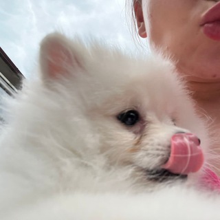 Разрблачение инфоцыганки