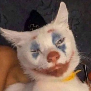 Шкляяяяяев🤡