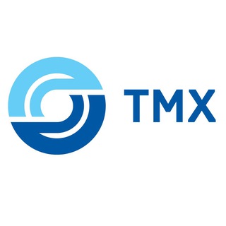 Трансмашхолдинг