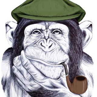 Вкурсе и ДУМАЕМ