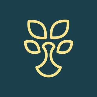 Finlit.uz - moliyaviy savodxonlik