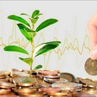 Инвестиции моей жены