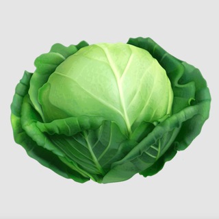 Ликвидная капуста