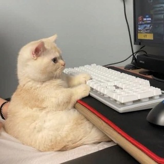 Финансы и котики