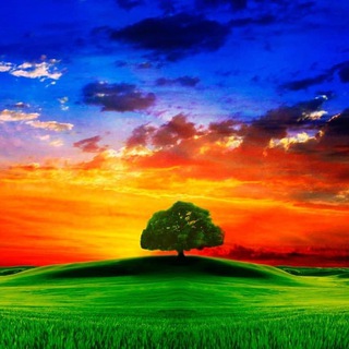 Идеи Заработока в интернете