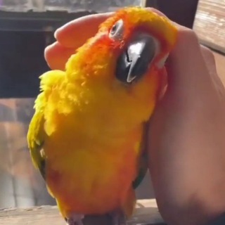 🥦 РЕЦЕПТЫ ПП 🥦