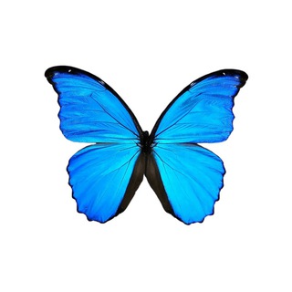 Лучше, чем вчера