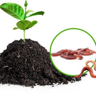 СЕКРЕТ🪴ФЕРМЫ🪱 КФХ VERMILIFE