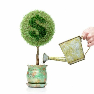 ЖИВЫЕ ДЕНЬГИ!!!