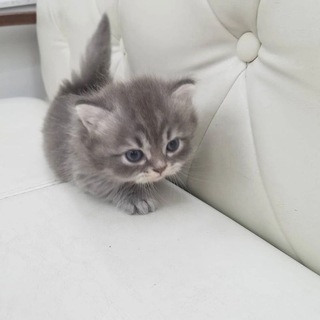 Как выложить видео в ТТ