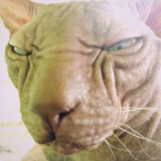 Андрей Бледный