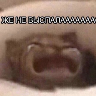 Кирпичи. Дорого.