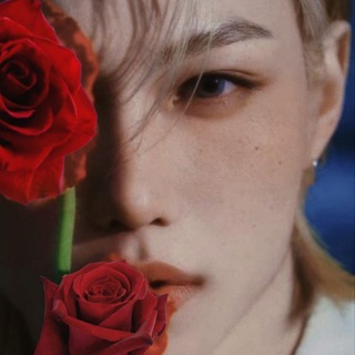 𝓓𝓪𝓲𝓵𝔂 𝓕𝓪𝓲𝓻𝔂