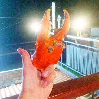 Дневники туриста