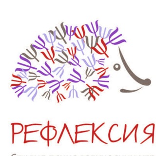 Развилка рефлексии