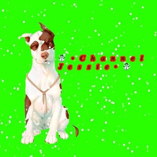 ☃️•𝑪𝒉𝒂𝒏𝒏𝒆𝒍 𝑱𝒆𝒔𝒔𝒊𝒆•☃️