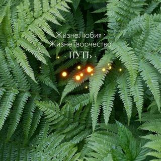 Жизнелюбия Путь ❄️☀️