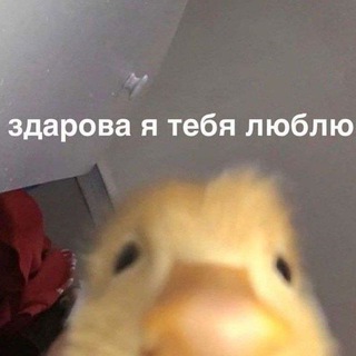 🤪чудики💗😊️