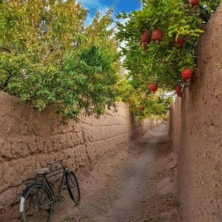 مولانا