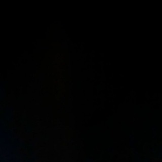 Регина Белорыбица