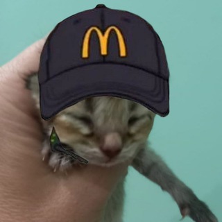 Вечный инструктор