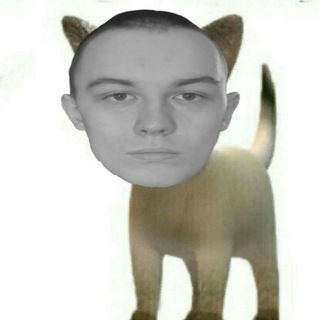 фанаты питон коксакерса