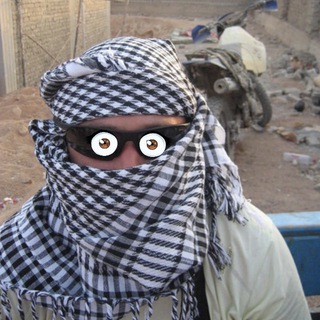 Не люблю жирных