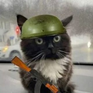 Romanov🏴‍☠️