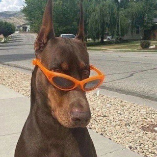 Вольєр Роуза