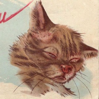 Против шерсти