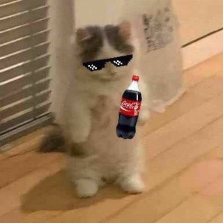 𝕋𝕒𝕞𝕒𝕘𝕠𝕥𝕔𝕙𝕚