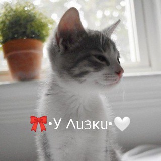 🎀•У 𐌡ᥙᤋκᥙ•🤍•°ρr᧐᧐fs 27+•°