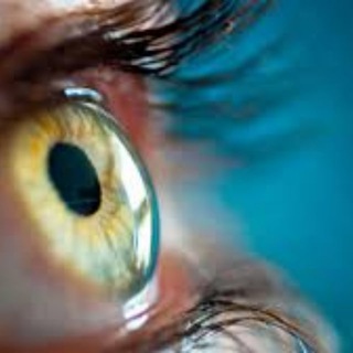 نگاهی به جهان دانش