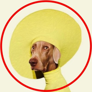 ВСЁ ДЛЯ СТОРИС