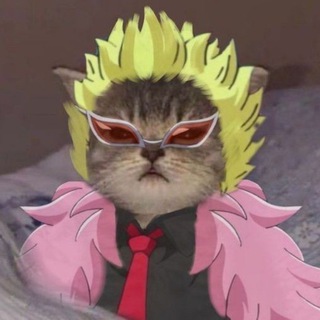 PXZ | Даты Выхода Аниме ✋🏿