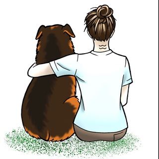 ANIMAL CARE: помощь бездомным животным 🐶🐱