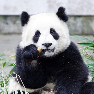 🐾🌍Живая Планета🌎 🐾