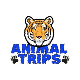 Доставка животных Animal Trips