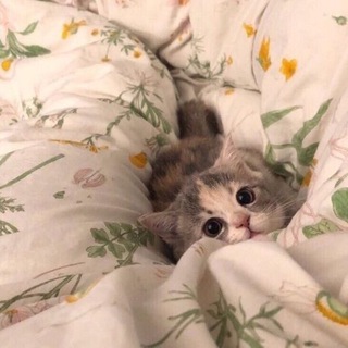 эдиты на заказ! xa1dran🤍