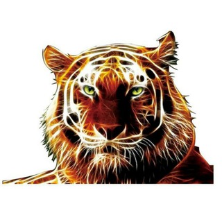 Амурская область - новости