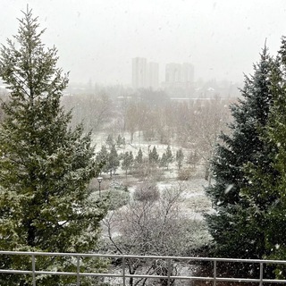 Ботанический сад ЮФУ