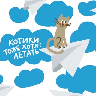 📣 CatsRepublic🐾catcafe🐈котокафе☕️