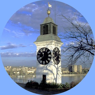 Нови Сад Daily